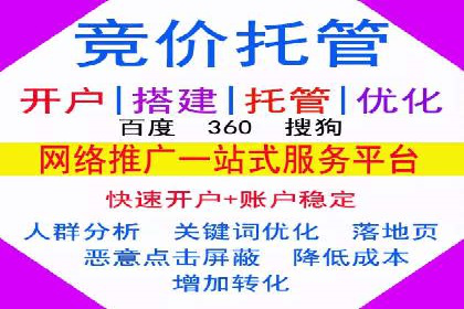 SEM广告投放的竞价策略与效果评估案例